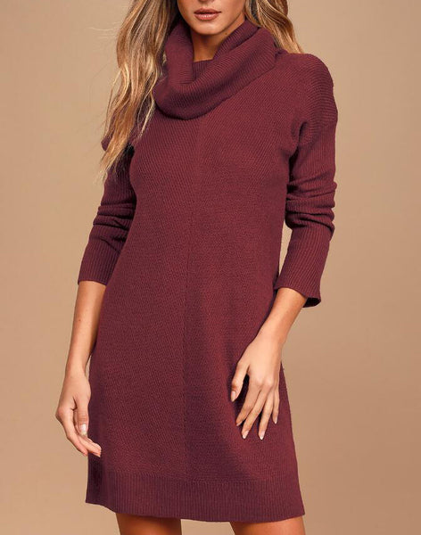 High Collar Long Sleeve Sweater Dress