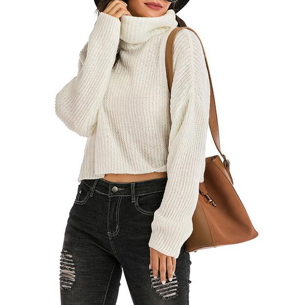 High Necked Long Sleeves Pullover Sweater Top