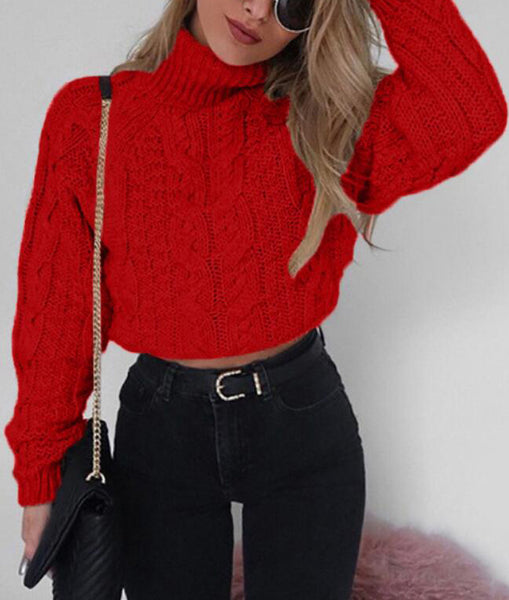 Knitted High Collar Long Sleeve Sweater