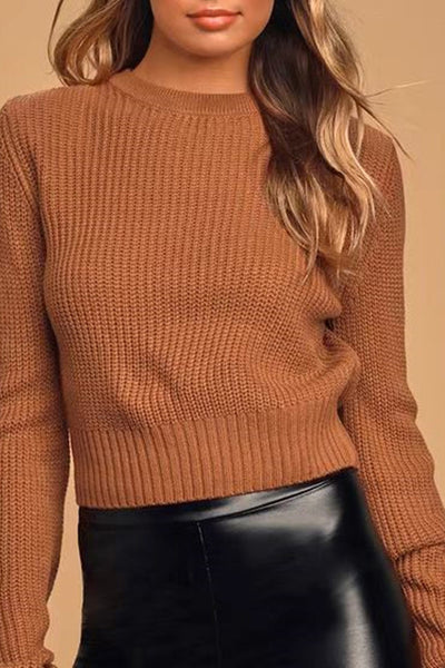Womens Backless Round Neck Long Sleeve Sweater Top