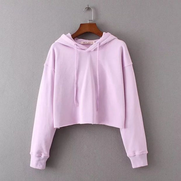 The New Fashion Women'S Autumn And Winter Short Paragraph Sweater Women Top