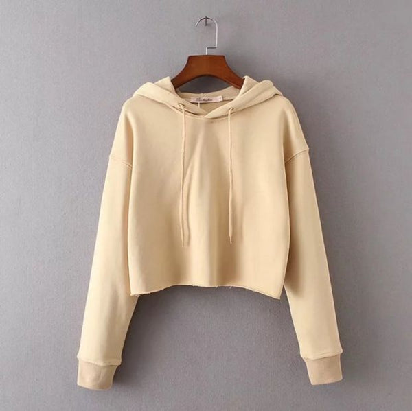 The New Fashion Women'S Autumn And Winter Short Paragraph Sweater Women Top